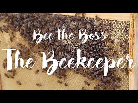 The Buzz Behind Bermondsey Street Bees - An Urban Beekeeping Success Story Part 1